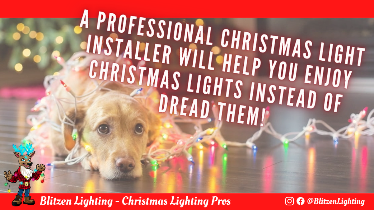 Professional Christmas Lights