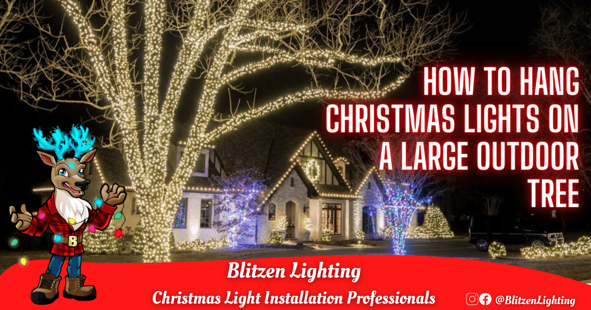 How to Hang Christmas Lights on a Large Outdoor Tree Blitzen Lighting