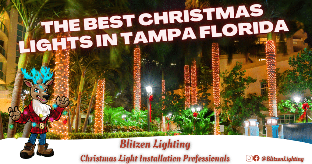 Tampa Christmas Light displays